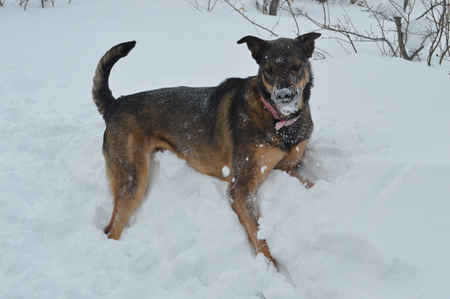 Zoey