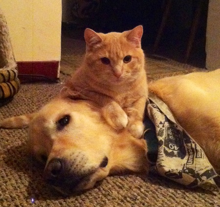 Waylon and Gibson 