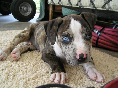 Buster