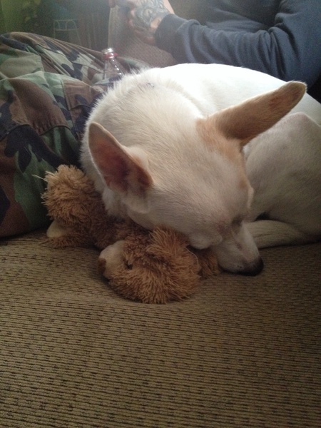Sadie