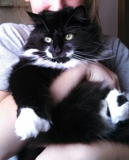 Miss Stache