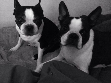 Diz and Chelie