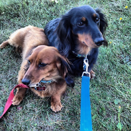 June and Jett