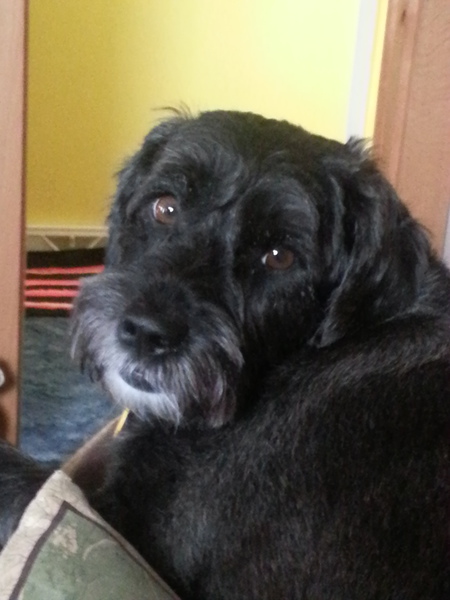 Jack