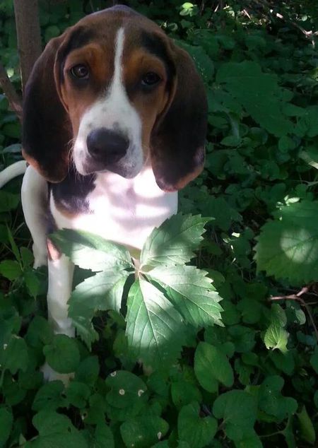 Ellie-Mae