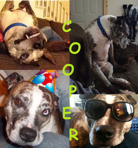 Cooper
