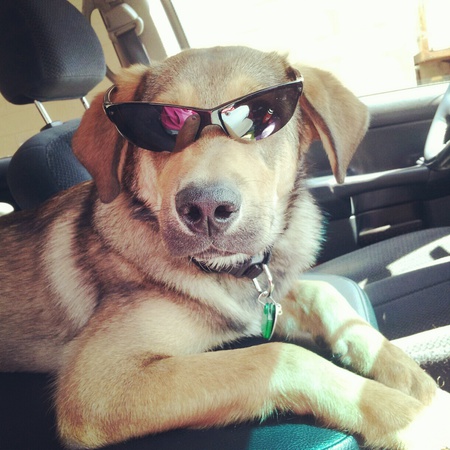 Jake