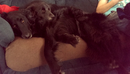 Bo and Kirra