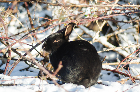 Where are *my* bunny slippers?