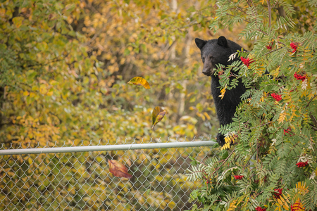 I'm just sitting on the fence