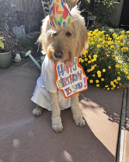 Flora...AKA FTD...Flora the Doodle