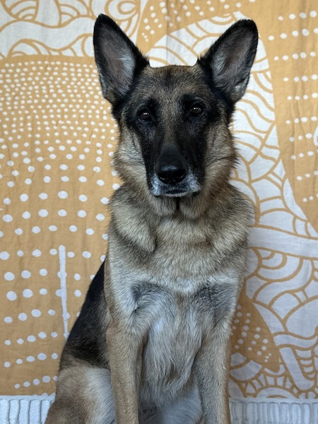 Rosie