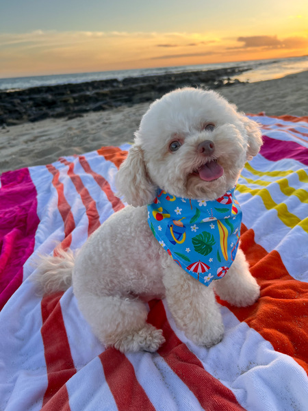 Keiki