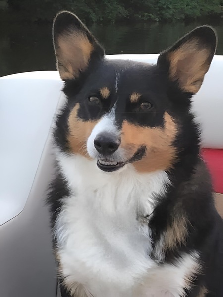 Sophie