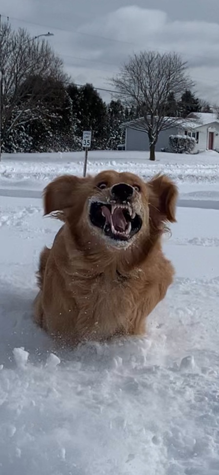 Winston