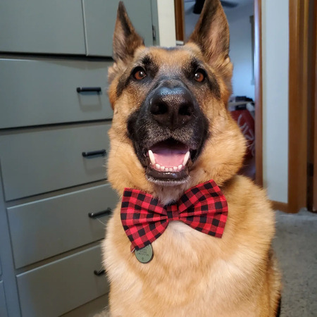 Odin 