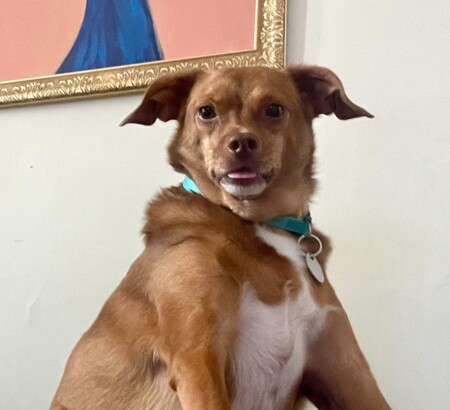 Milo