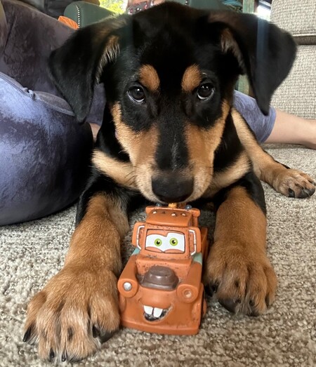 Mater