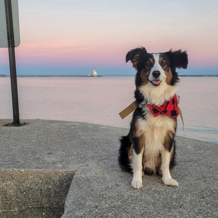 Milo