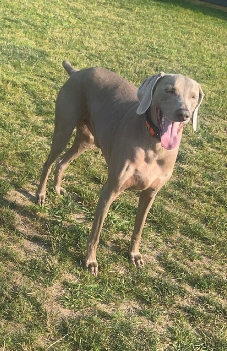 Gunner