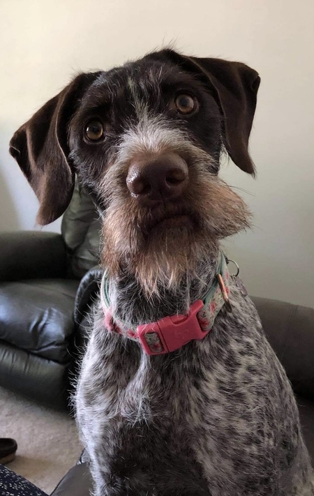 Talula