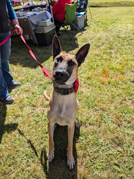 Fredrick - Adopt Me!