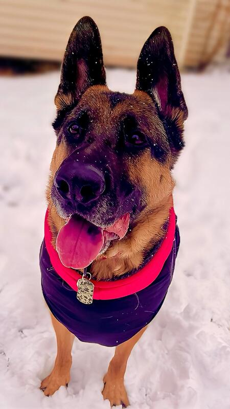 Jax