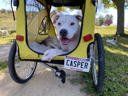 Casper