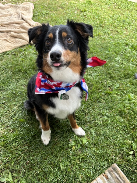 Remi