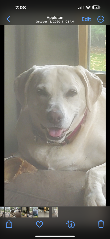 piper
