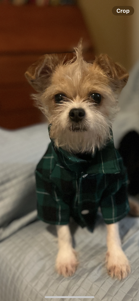 Eddy 