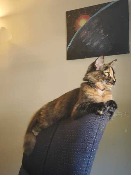 Pepper
