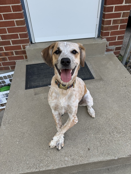 Penelope “Penny” Windolyn 