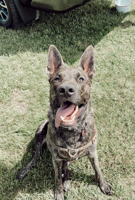 Gunner