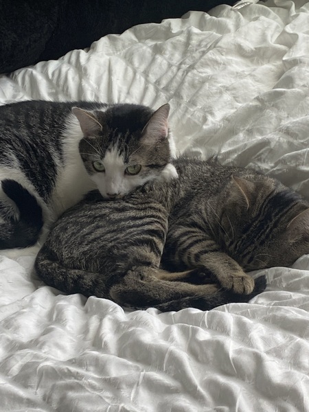 Max and Peabo