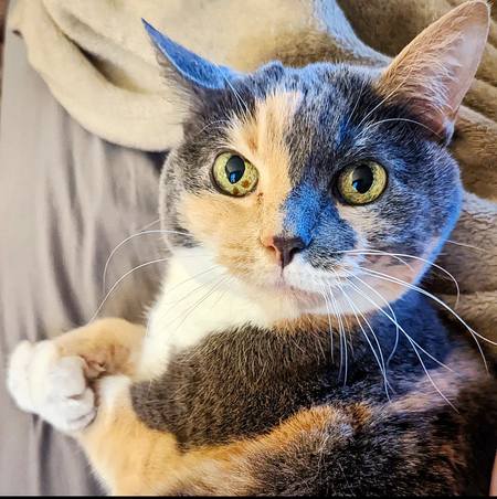 Martha Mae Mattingly