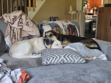 Bob and Wyatt