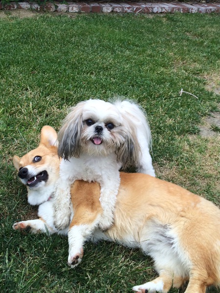 Kini and Lucy