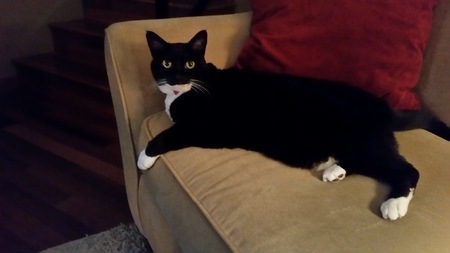 Sox