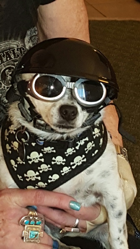 Jax