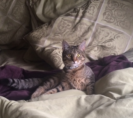 Zoe 
