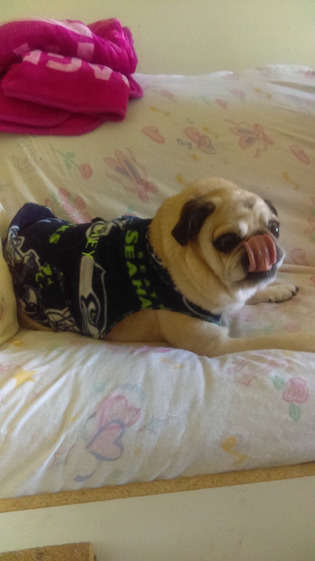 pugsley