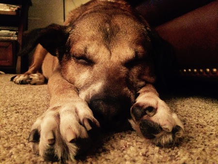 Rosco