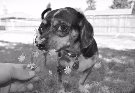 Molly