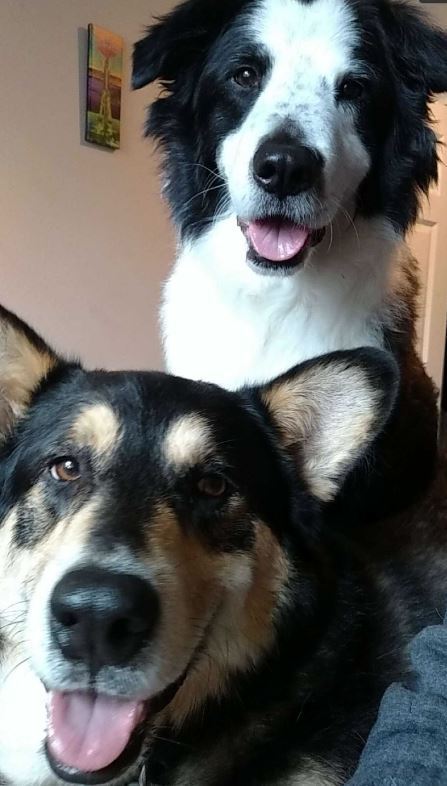 Bear and Griffey