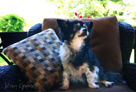 Thelma