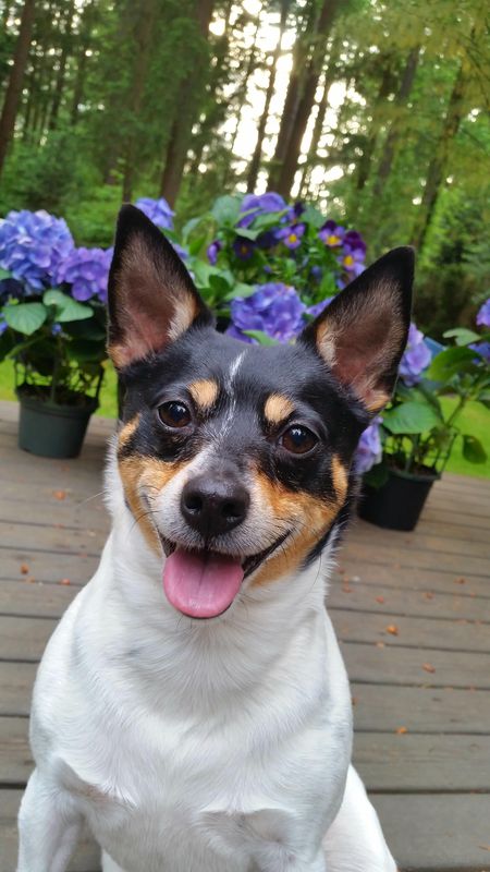 Emmie