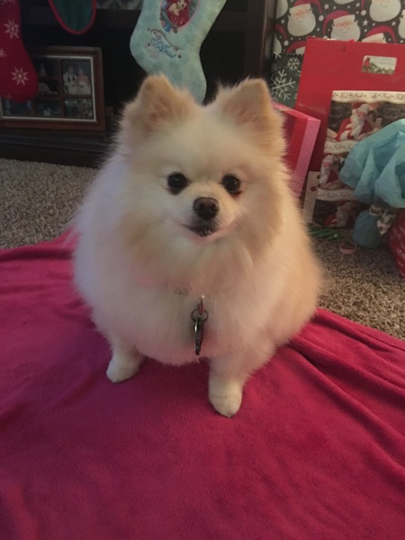 Rosie
