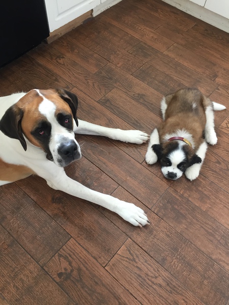Lucy and Henry 