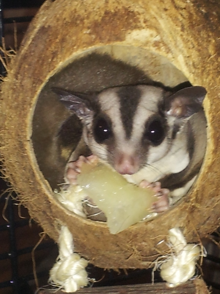 Cinnabon